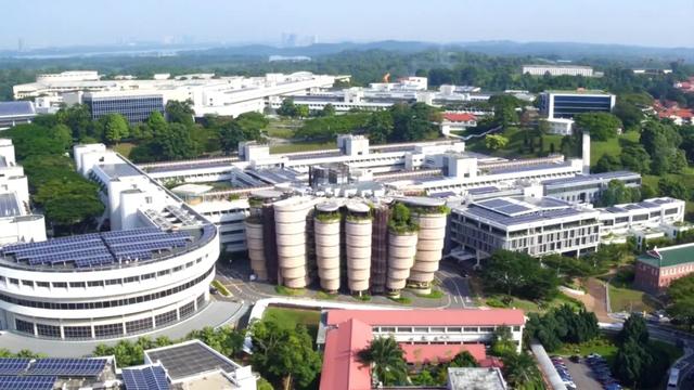 中国留学生出国趋势:为什么新加坡留学和英国留学难度这么大了?