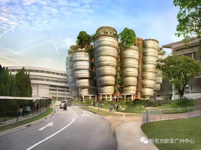 三分钟告诉你,我为什么去香港,新加坡留学