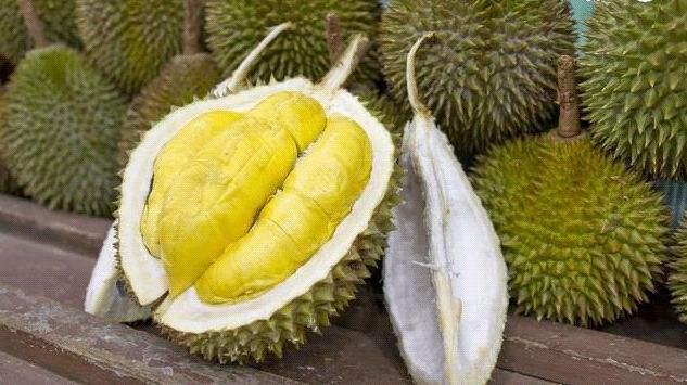 新加坡旅游,到底该买什么?