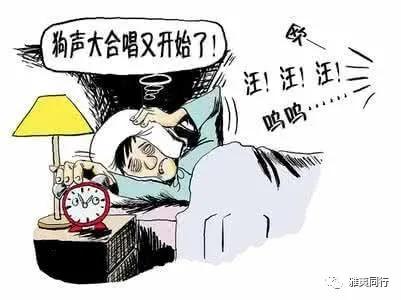 到新加坡旅游留意28条法律，破财事小，坐牢事大！​