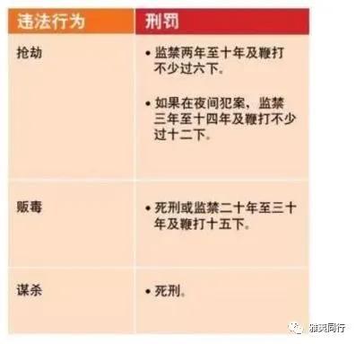 到新加坡旅游留意28条法律，破财事小，坐牢事大！​