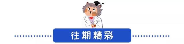 关于新加坡猫，你不知道的那些事儿｜品种