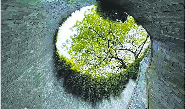 “龙之穴”，新加坡网红“树洞”
