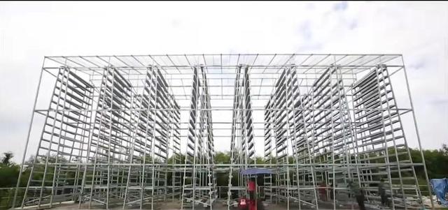 新加坡城市农场5平米一年种出38000棵蔬菜,独特立体栽培,想建吗