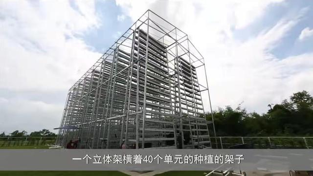 新加坡城市农场5平米一年种出38000棵蔬菜,独特立体栽培,想建吗