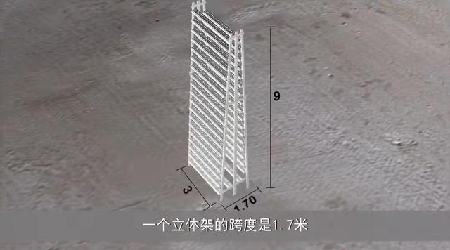 新加坡城市农场5平米一年种出38000棵蔬菜,独特立体栽培,想建吗