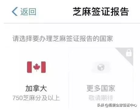 支付宝芝麻信用免财力证明办签证,再增一申根国家!吾爱有话说