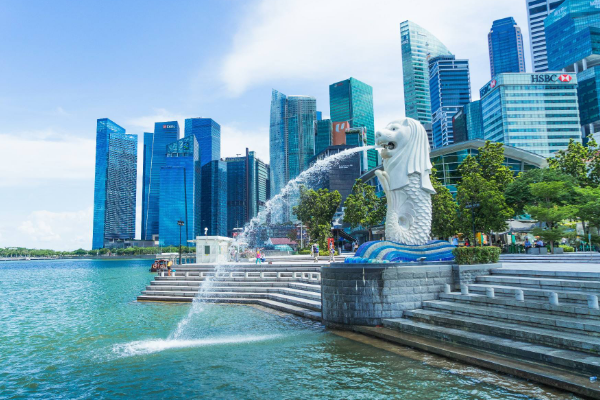新加坡签证多少钱