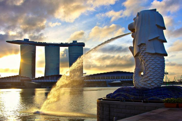 新加坡签证费用通常在多少？