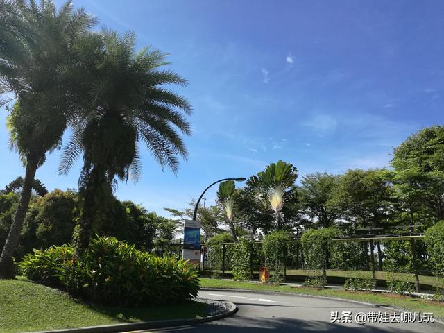 新加坡圣淘沙岛吃住玩全攻略(含环球影城、海洋馆)