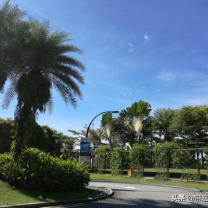 新加坡圣淘沙岛吃住玩全攻略（含环球影城、海洋馆）