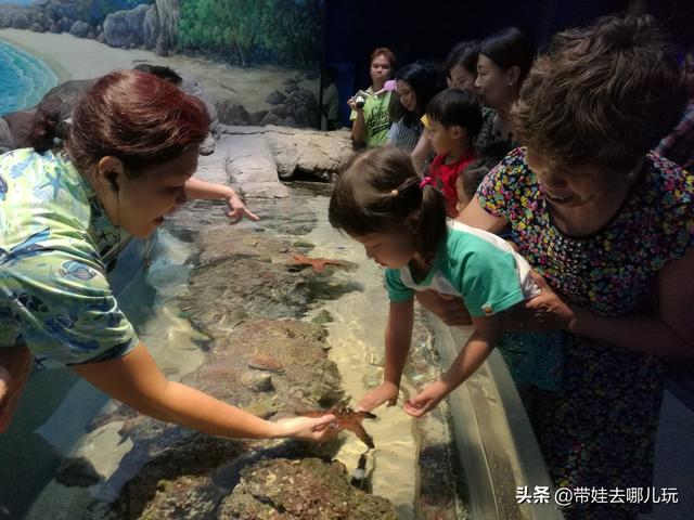 新加坡圣淘沙岛吃住玩全攻略(含环球影城、海洋馆)