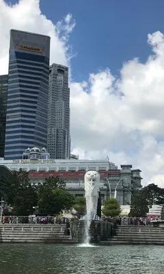 新加坡最出名的景点，与世界著名的鱼尾狮拍照留念