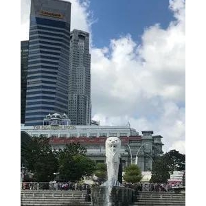 新加坡最出名的景点，与世界著名的鱼尾狮拍照留念