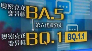 新加坡11月超两成病例是再感染 3%本土病例是感染BQ.1