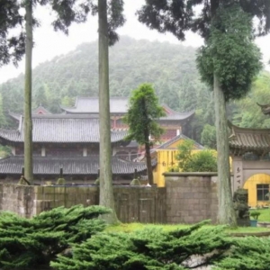 新加坡温州会馆（新加坡温州华人地缘社团）