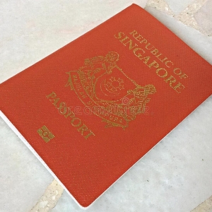 新加坡研究生之后如何入籍（留学新加坡的研究生毕业可以移民吗） ... ...