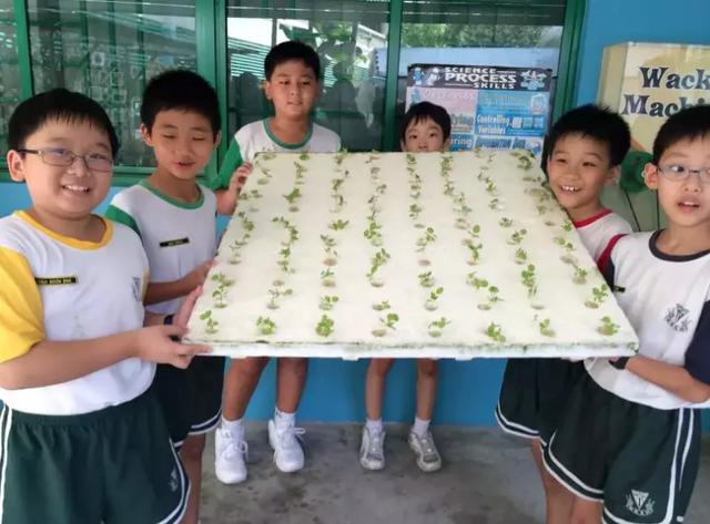 新加坡小学名校排名大曝光!
