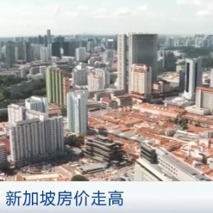 新加坡房价大涨！销售额达纽约2倍！涨得最猛的是“组屋”！为什么