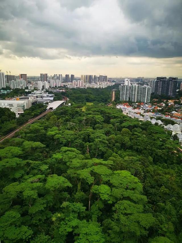 地铁楼上！GEP学区房！吊打公寓的新加坡组屋，你羡慕吗？