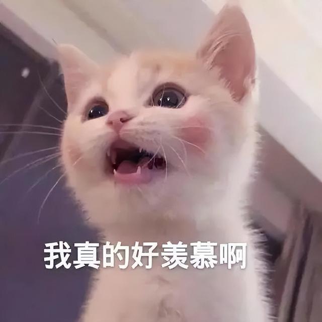 地铁楼上！GEP学区房！吊打公寓的新加坡组屋，你羡慕吗？