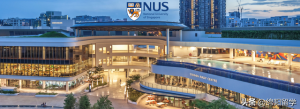 收藏：新加坡国立大学网申步骤大全