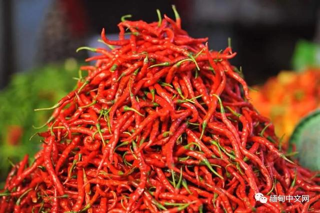 食品安全世界第一的新加坡，点名要从缅甸进口辣椒