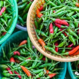 食品安全世界第一的新加坡，点名要从缅甸进口辣椒