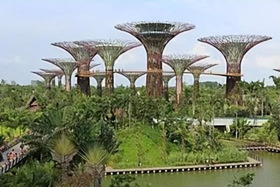 新加坡全解在|新加坡旅游、留学、移民？这一篇充足了解新加坡！