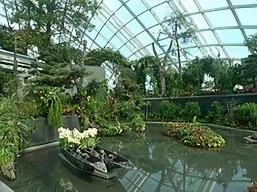 新加坡全解在|新加坡旅游、留学、移民？这一篇充足了解新加坡！