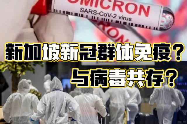揭秘新加坡的三年防疫之路:为何没出现“药品短缺”?