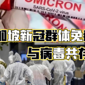 揭秘新加坡的三年防疫之路：为何没出现“药品短缺”？