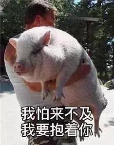 新加坡陪读政策，陪读妈妈的你还需了解这些！（附学校推荐）