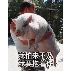 新加坡陪读政策，陪读妈妈的你还需了解这些！（附学校推荐）