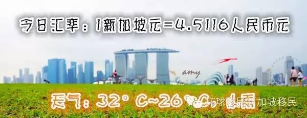 新加坡母子陪读政策最全攻略~~果断收藏！
