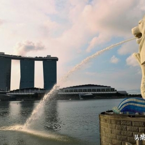 新加坡，不是发达国家吗？在世贸组织中，新加坡属于发展中国家