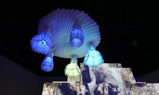 新加坡必打卡的顶级科学馆:不跟孩子认真玩,错过一个亿