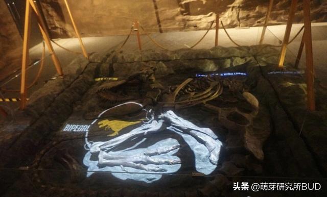 新加坡必打卡的顶级科学馆:不跟孩子认真玩,错过一个亿