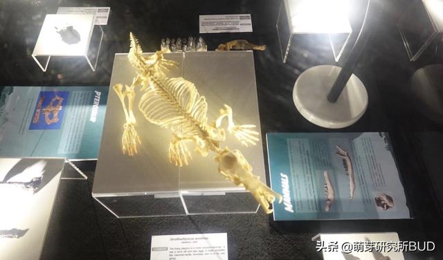 新加坡必打卡的顶级科学馆:不跟孩子认真玩,错过一个亿