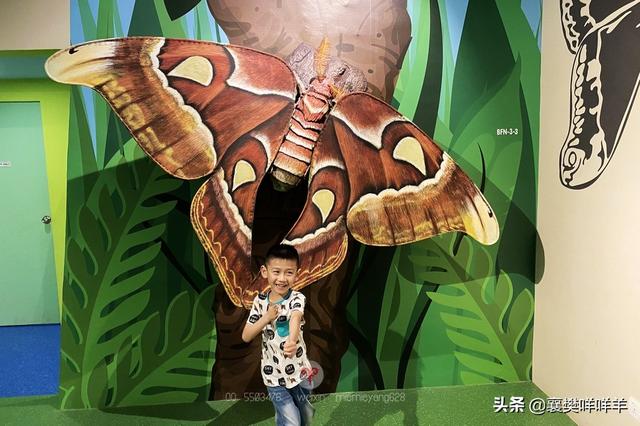 新加坡科学馆，不带孩子来看看简直错过了一个亿