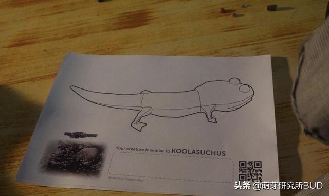 新加坡必打卡的顶级科学馆:不跟孩子认真玩,错过一个亿