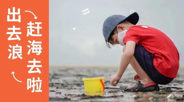 去赶海啦!新加坡海滩竟然也有寄居蟹、花蟹、龙虾、海星