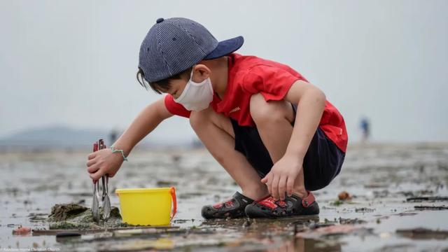 去赶海啦!新加坡海滩竟然也有寄居蟹、花蟹、龙虾、海星