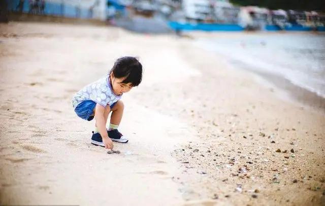 去赶海啦!新加坡海滩竟然也有寄居蟹、花蟹、龙虾、海星