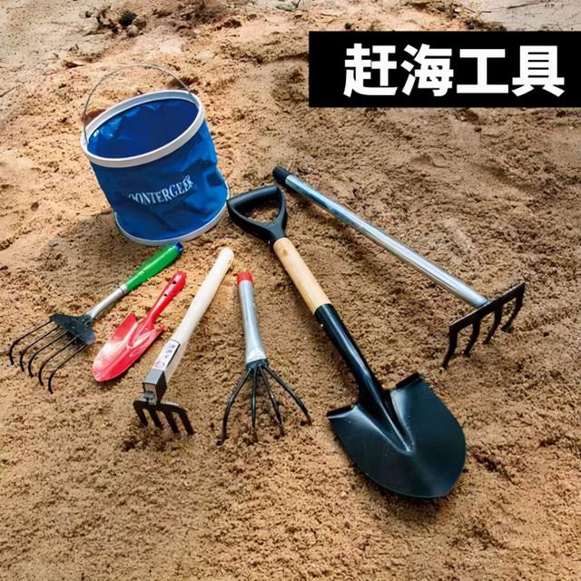去赶海啦!新加坡海滩竟然也有寄居蟹、花蟹、龙虾、海星