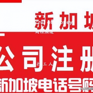 注册新加坡公司后 选DID或选Toll Free？哪一个好