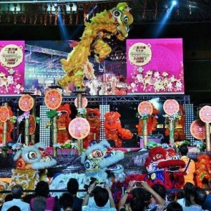新加坡人口民族概况，百分之七十多的华人
