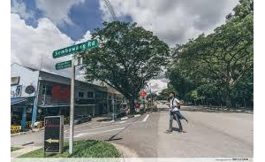 盘点新加坡那些街道名字的由来！涨姿势
