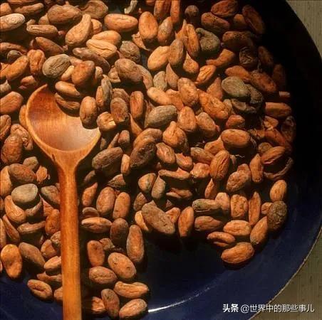 金龙鱼、凯德集团竟然是新加坡公司?新加坡还有哪些产品在中国