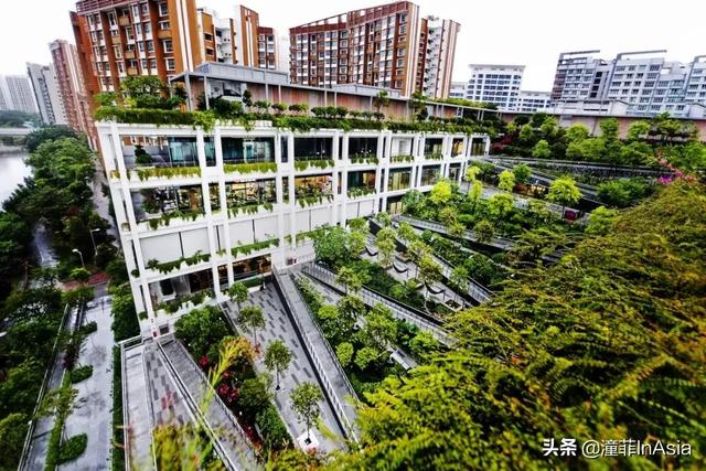 新加坡就医流程全解析,手把手教你如何规划医疗保障